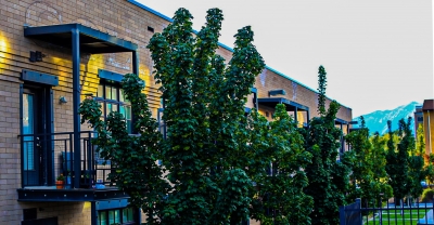 Insert - J32A3921-47